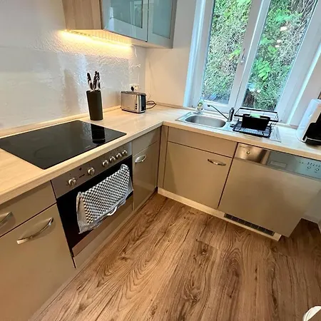 Exklusive Neubauwohnung Mit Wundervoller Aussicht Naehe Europapark Und Rulantica