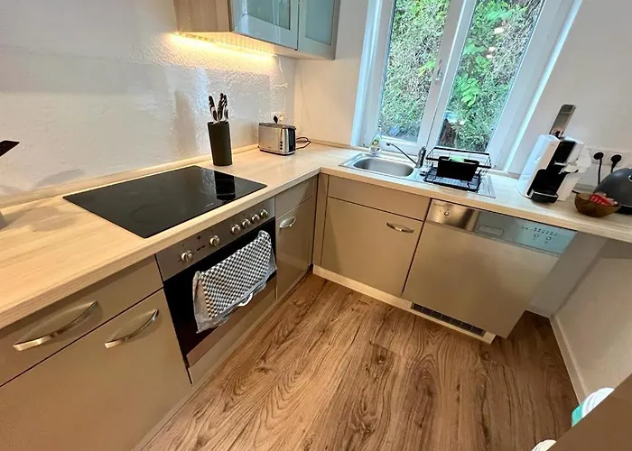 Exklusive Neubauwohnung Mit Wundervoller Aussicht Naehe Europapark Und Rulantica
